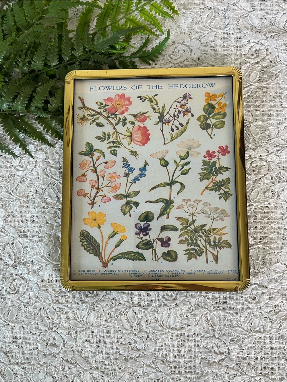 Vintage Brass Framed Flowers of the Hedgerow 8x10